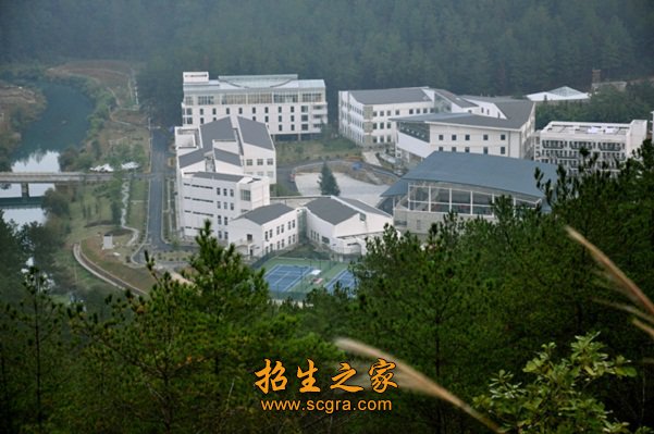 学校 环境