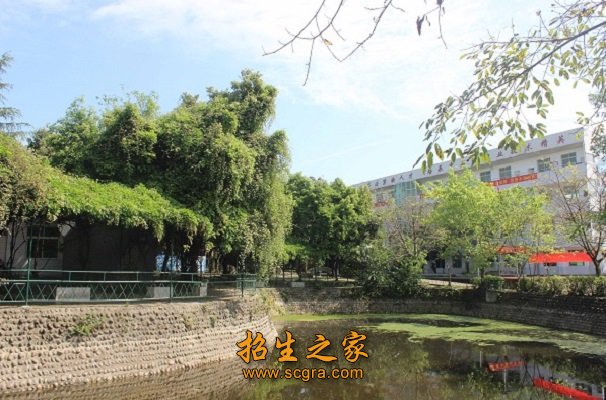 学校风景