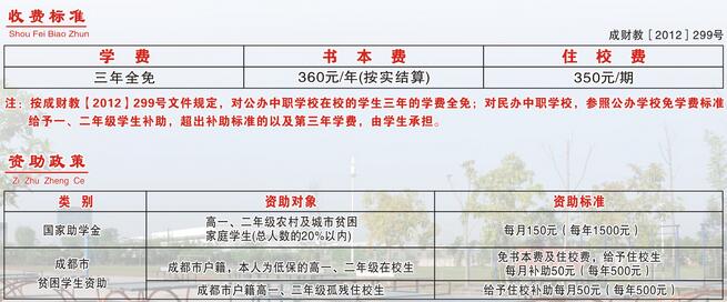 成都市技师学院邛崃分院五年制计算机专业招生如何