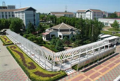 职业学校,发展前景