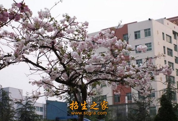 学校环境