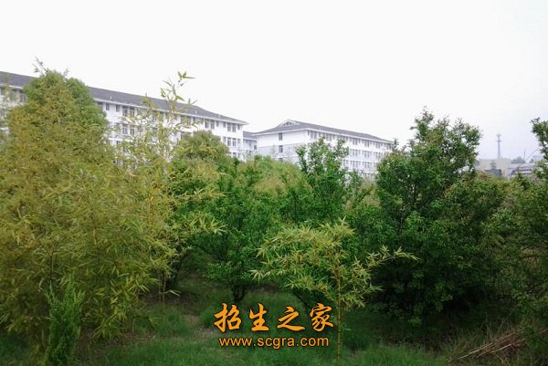 学校环境