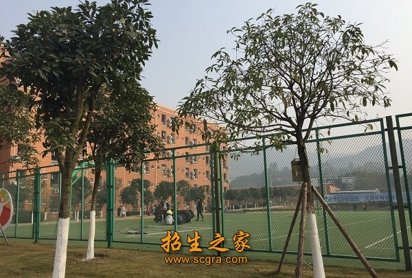 学校环境