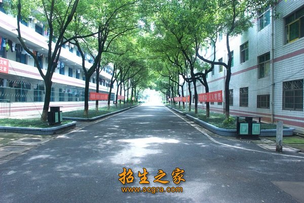 学校环境