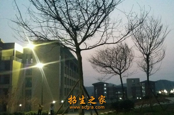 学校环境